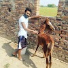 user