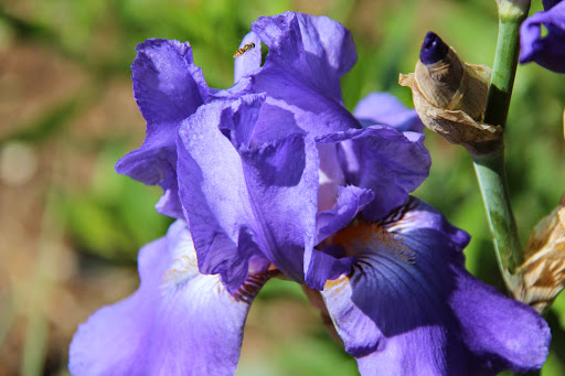 Park «Percy Warner Park», reviews and photos, 7311 Tennessee 100, Nashville, TN 37221, USA