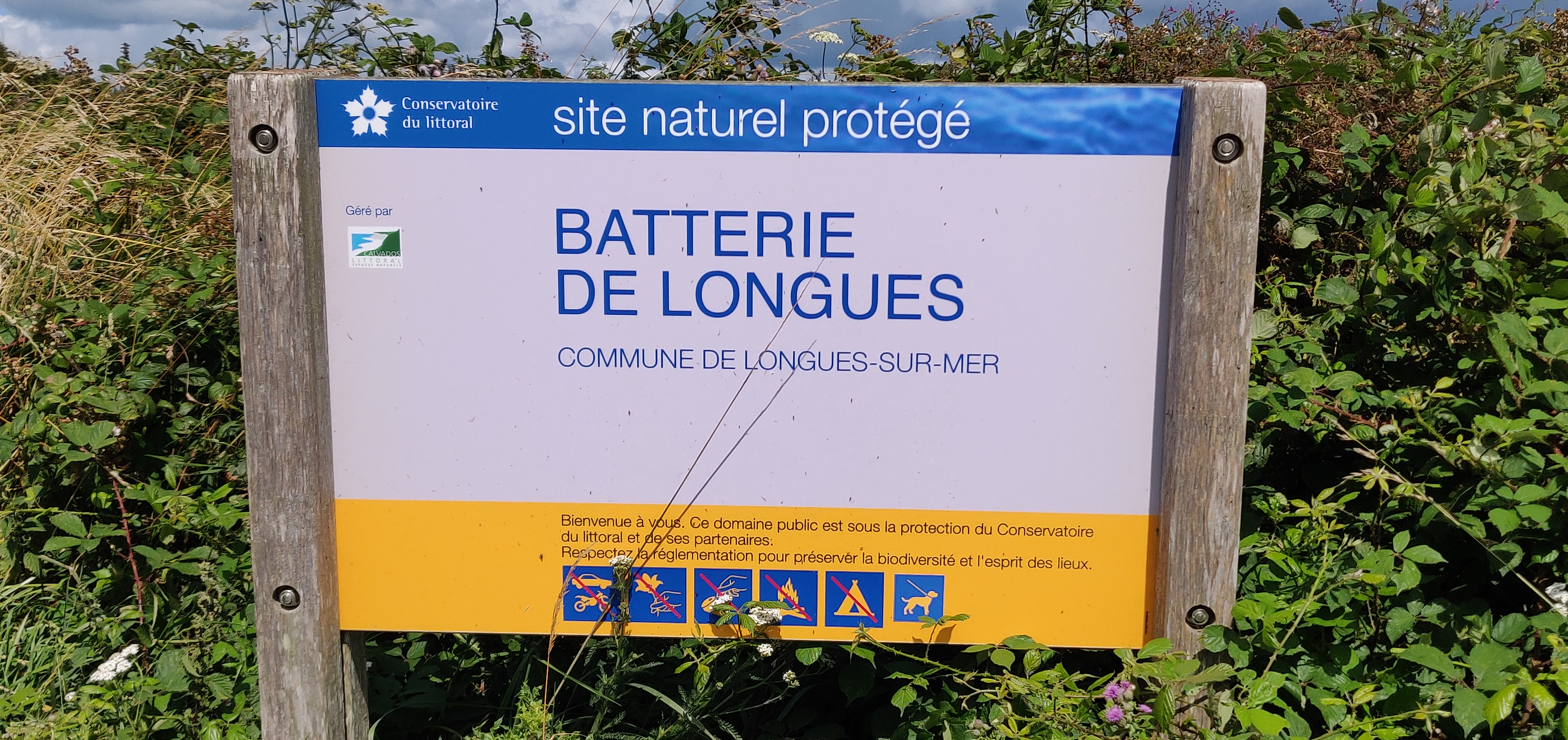 Photo n° 9 de l'avis de M... fait le 19/07/2023 à 15:59