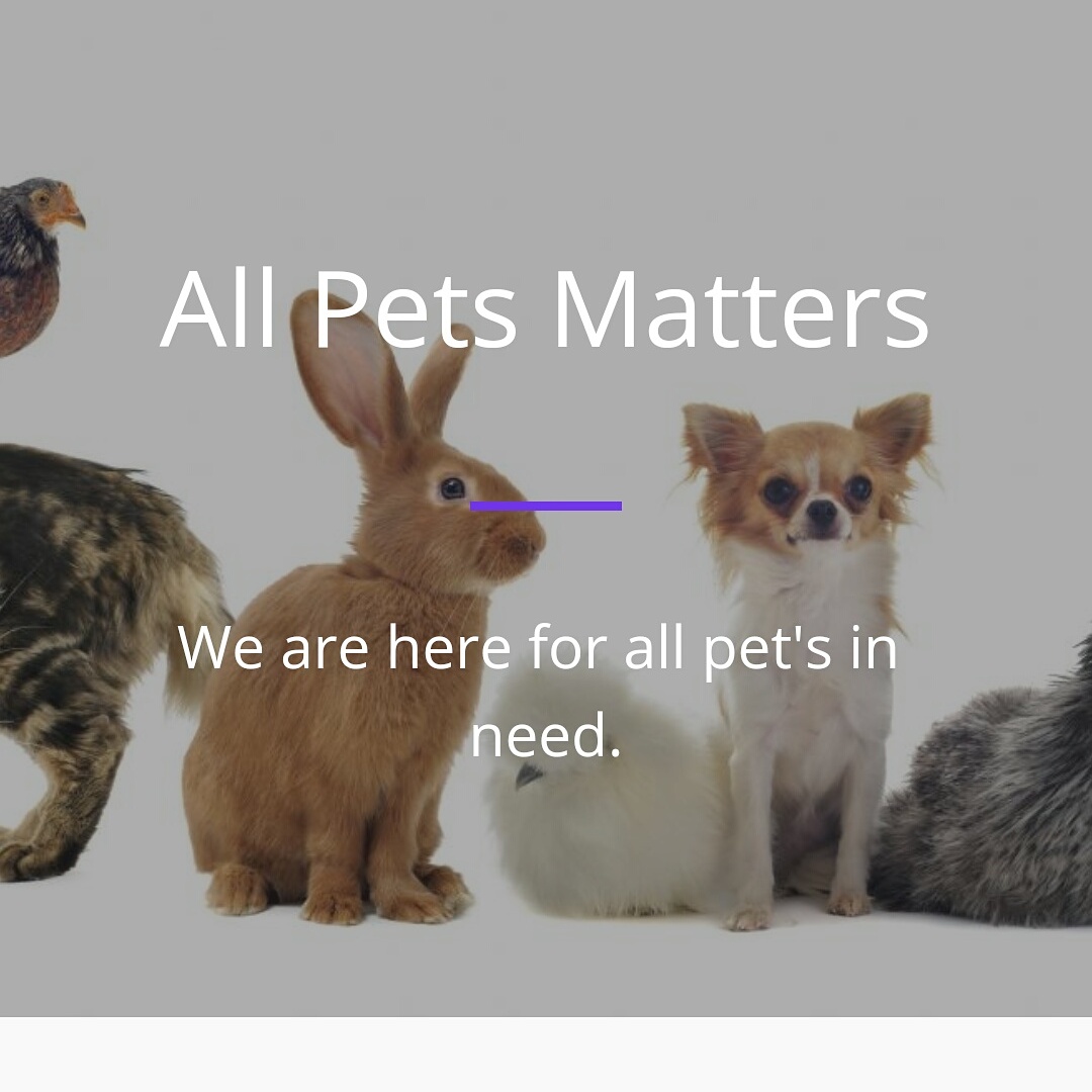 All Pets Matters