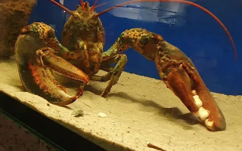 Marine Biology Station Laboe image