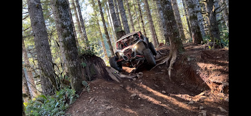 Motor Vehicle Dealer «SK Northwest», reviews and photos, 250 SE Division Pl, Portland, OR 97202, USA