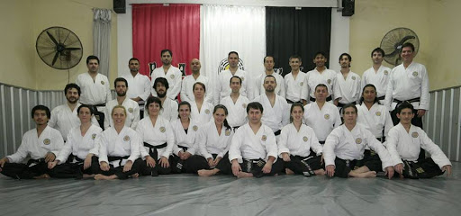 Kendo lessons Mendoza