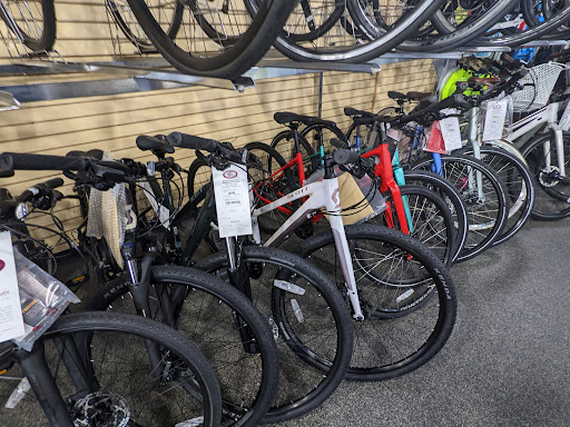 Bicycle Repair Shop «Ridgewood Cycle Shop», reviews and photos, 35 N Broad St, Ridgewood, NJ 07450, USA