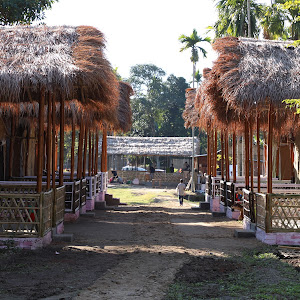 Kaziranga Eco Camp photo