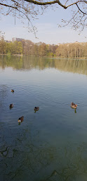 Photo n°11 de Café du Lac à Lyon ()