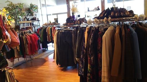 Thrift Store «Thrift Store Benefitting the Cat Adoption Team», reviews and photos