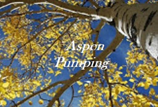 Aspen Pumping in Payson, Arizona