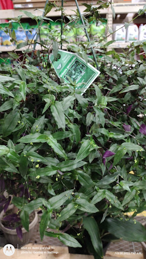 Home Improvement Store «The Home Depot», reviews and photos, 601 Woollomes Ave, Delano, CA 93215, USA