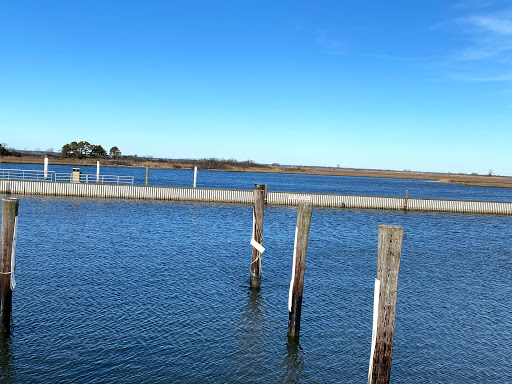 Captree Boat Basin image 6