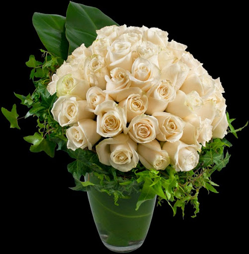 Florist «Red Square Flowers», reviews and photos, 337 W Mifflin St, Madison, WI 53703, USA