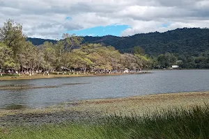 Laguna El Pino image