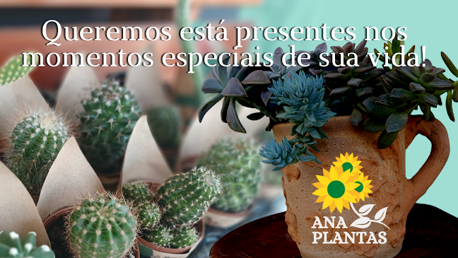 ANA PLANTAS - Maceió