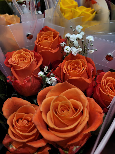 Department Store «Walmart Supercenter», reviews and photos, 6111 Jefferson Ave, Newport News, VA 23605, USA