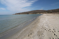 Photo de Ropotamo beach zone sauvage