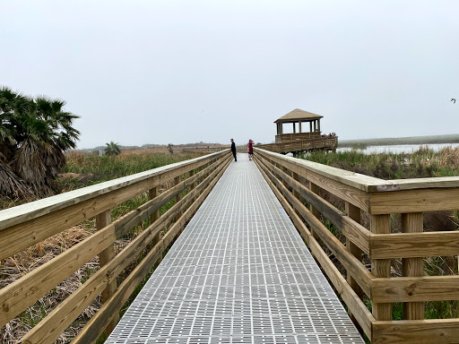 Bird watching area Corpus Christi