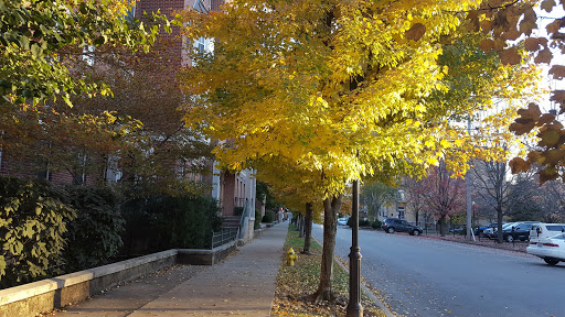 Park «George Rogers Clark Park», reviews and photos, 219 Riverside Dr, Covington, KY 41011, USA