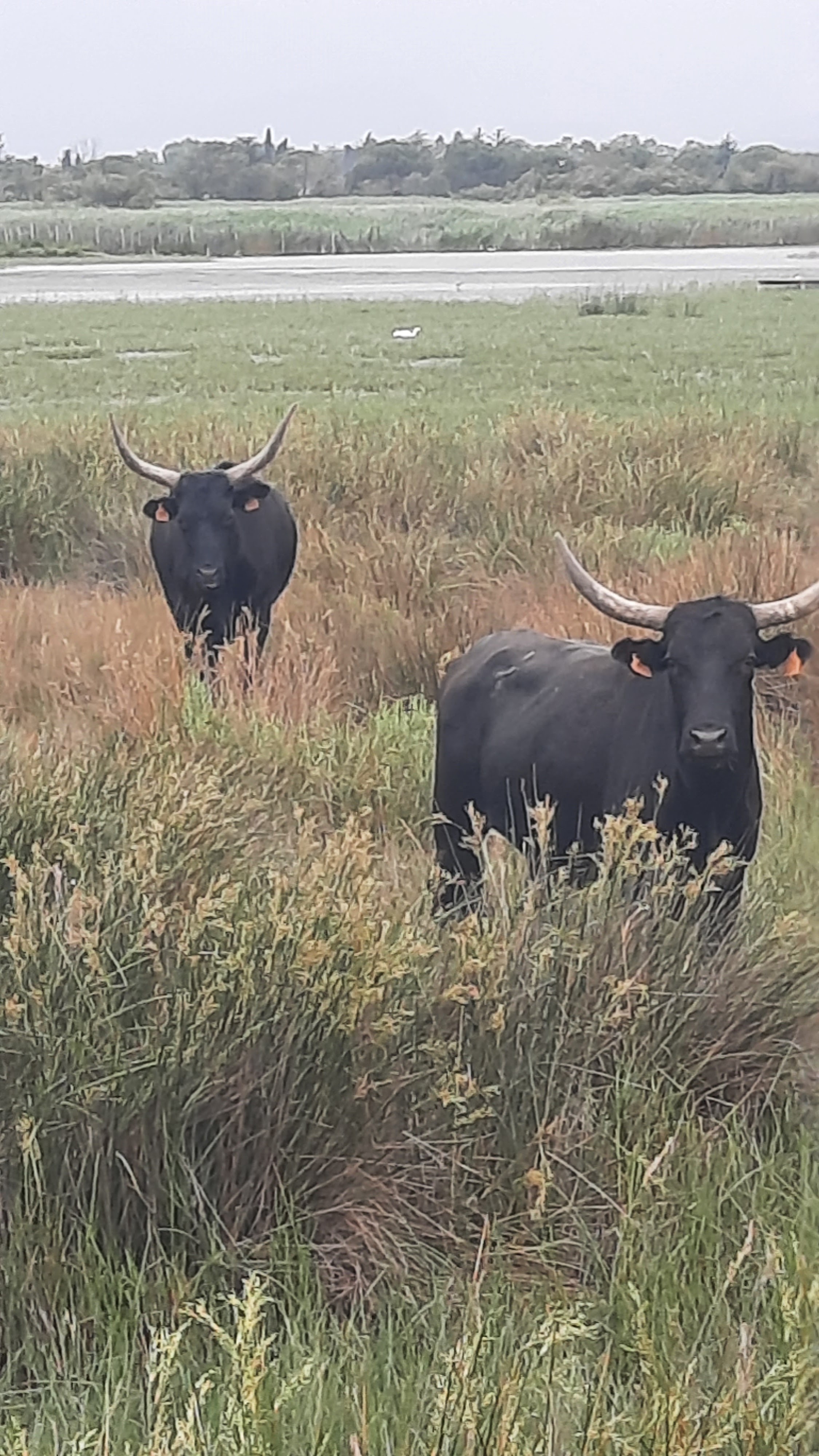 Photo n° 2 de l'avis de Hilde.a fait le 20/06/2023 à 19:42