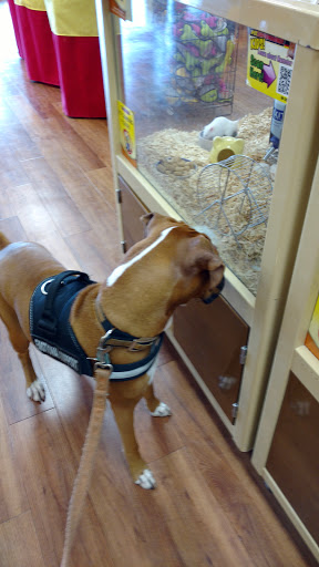Pet Supply Store «Pet Supermarket», reviews and photos, 2924 13th St, St Cloud, FL 34769, USA