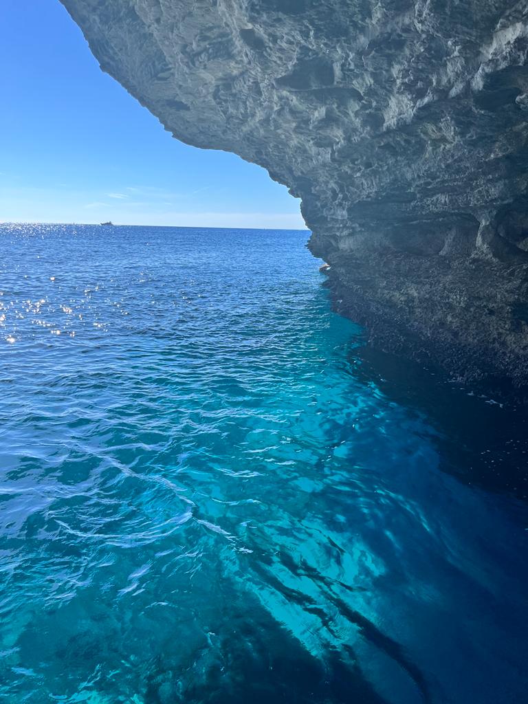 Photo n° 8 de l'avis de DESOLI.l fait le 12/09/2022 à 14:52