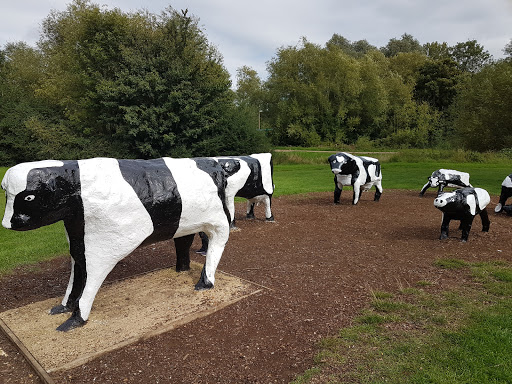 Concrete Cows