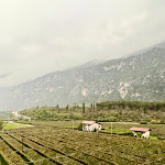 Photo n°4 de l'avis de Yoyo. fait le 24/10/2023 à 08:26 sur le  Hotel Eden - Dro à Dro