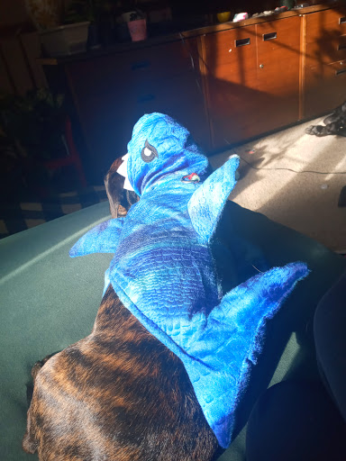 Pet Supply Store «Petco Animal Supplies», reviews and photos, 940 Costley Way, Prince Frederick, MD 20678, USA