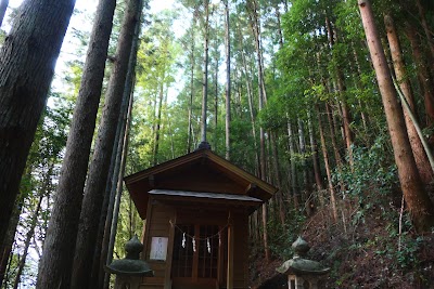 越堀の大杉