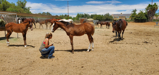 Burns Ranch