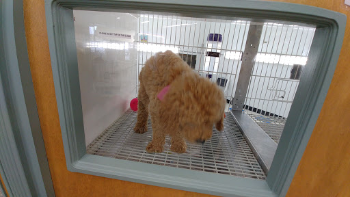 Pet Store «Happiness Is Pets Vi», reviews and photos, 616 E Roosevelt Rd, Lombard, IL 60148, USA