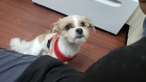 Pet Supply Store «Pet Supplies Plus», reviews and photos, 4923 Sheridan St, Hollywood, FL 33021, USA