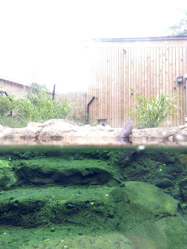 Natural History Museum «Cleveland Museum of Natural History», reviews and photos, 1 Wade Oval Dr, Cleveland, OH 44106, USA