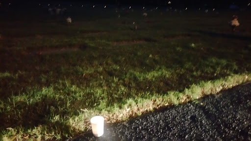 Memorial Park «Lakeland Funeral Home», reviews and photos, 2125 Bartow Rd, Lakeland, FL 33801, USA