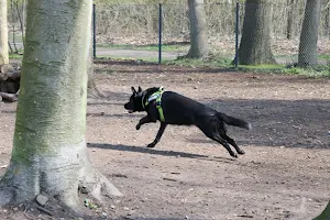 Hundefreilauffläche Verden image