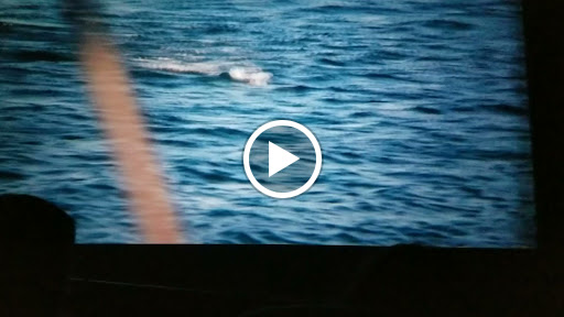 Movie Theater «AMC Jefferson Point 18», reviews and photos, 4250 W Jefferson Blvd, Fort Wayne, IN 46804, USA