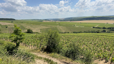 Table d'orientation Chablis les clos à Chablis