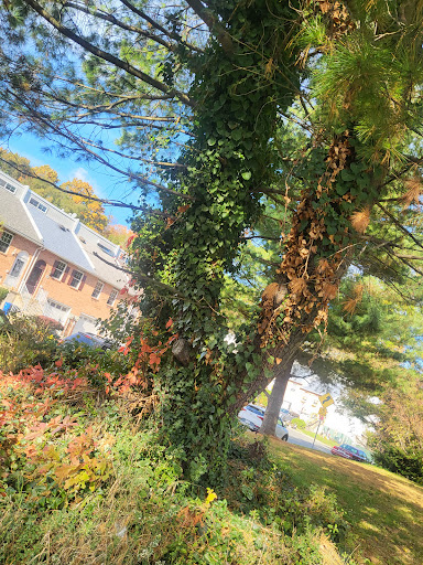 3810 Morrell Ave, Philadelphia, PA 19114, USA