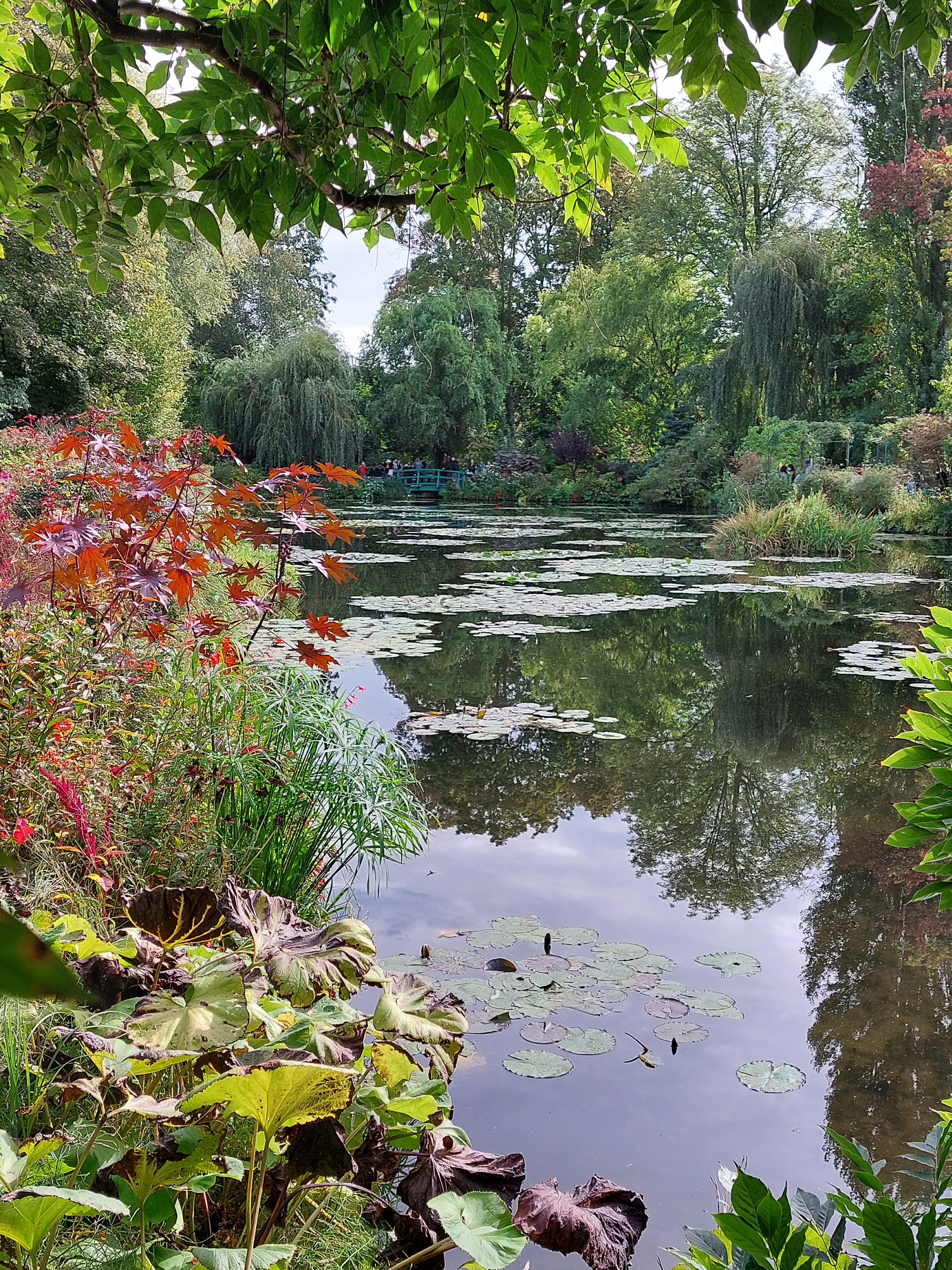 Photo n° 1 de l'avis de Dominique.i fait le 05/10/2023 à 16:56