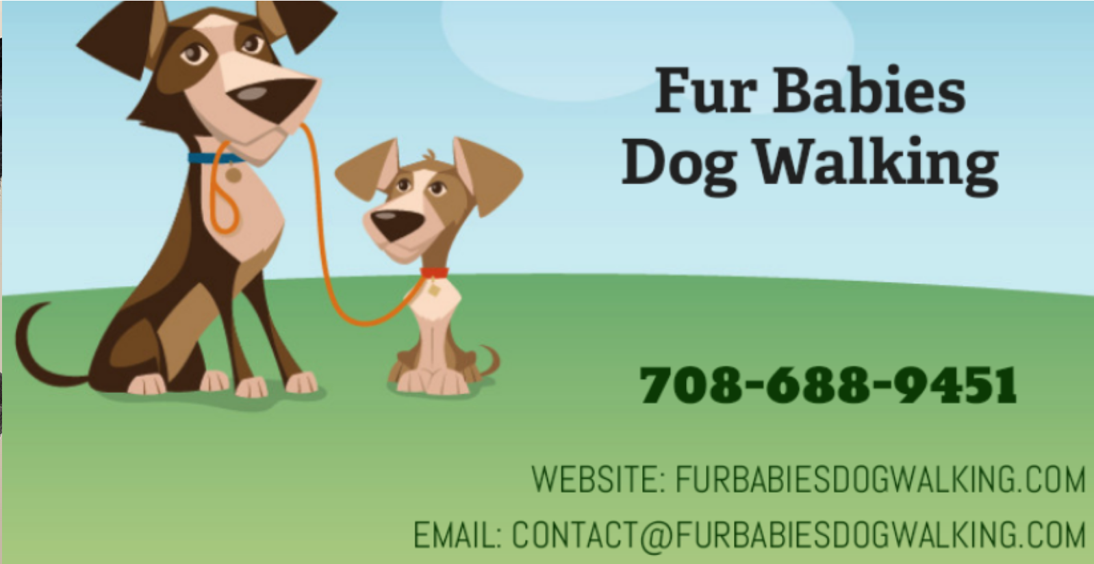 Fur Babies Dog Walking Services in La Grange, Brookfield, La Grange Park