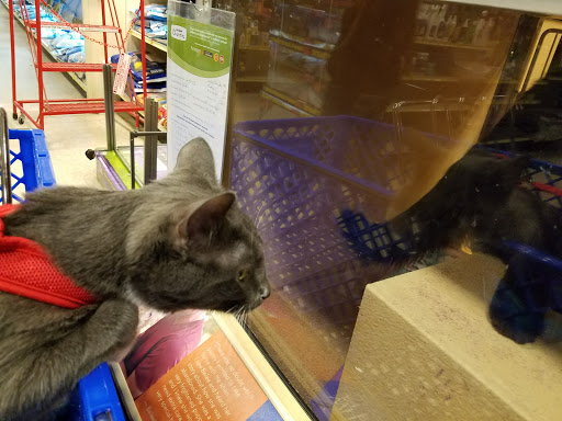 Pet Supply Store «PetSmart», reviews and photos, 4810 1st Ave NE, Cedar Rapids, IA 52402, USA