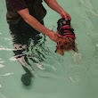 Canine Hydrotherapy Ltd