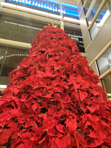 Shopping Mall «South Coast Plaza», reviews and photos, 3333 Bristol St, Costa Mesa, CA 92626, USA