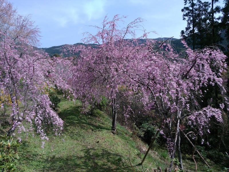 花いちばんＫＯＩＢＩＴＯひろば