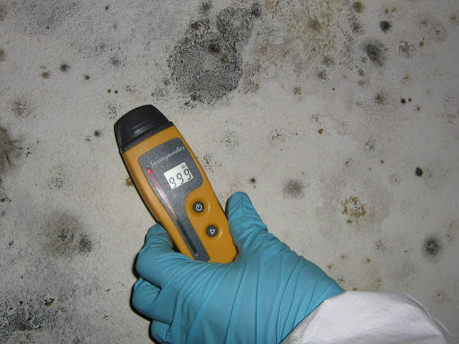 Home Inspector «Environix Testing & Remediation», reviews and photos