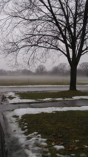 Park «Rouge Park», reviews and photos, Joy Rd, Detroit, MI 48228, USA