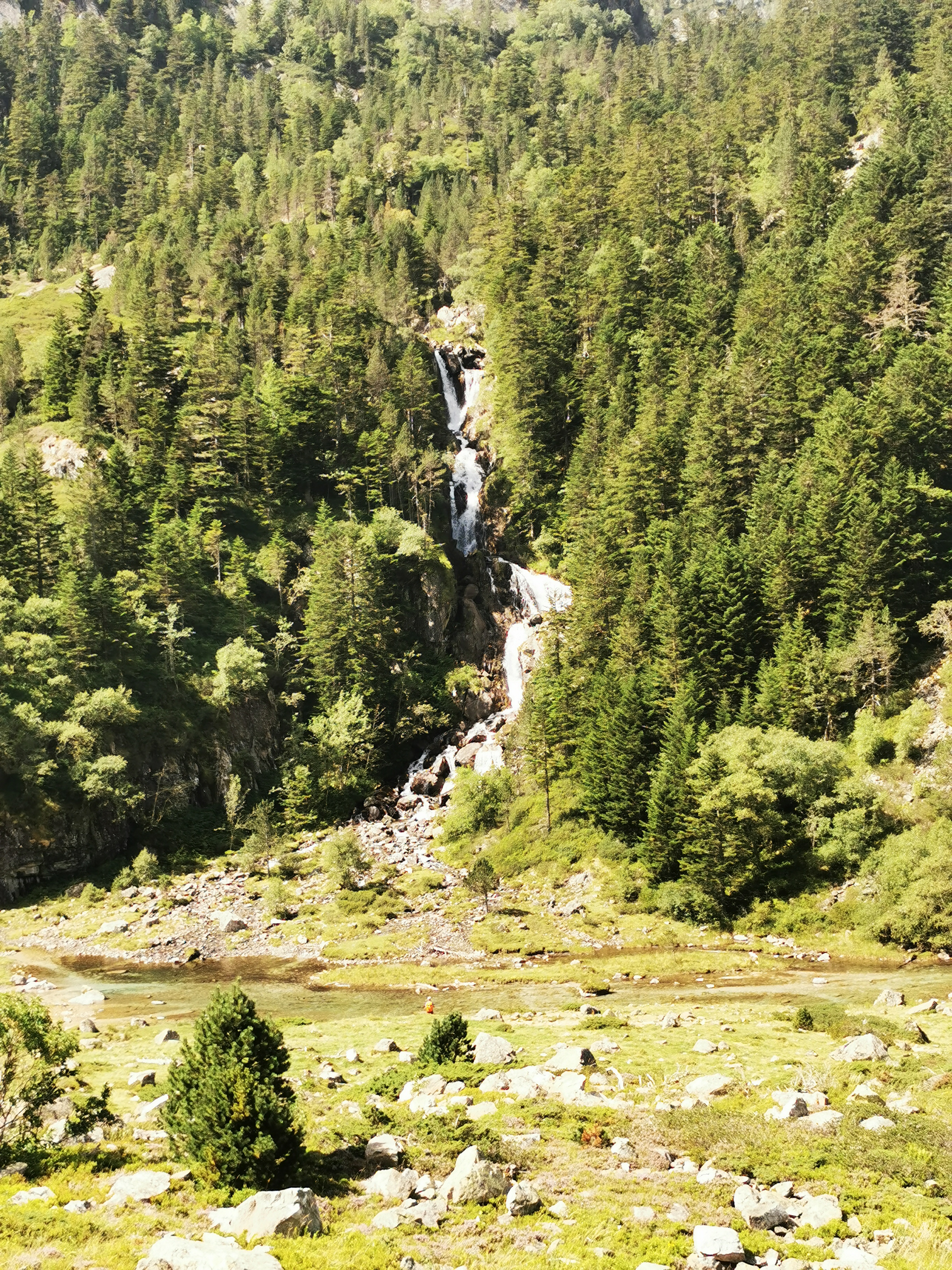 Photo n° 12 de l'avis de Damien.a fait le 15/08/2021 à 14:59