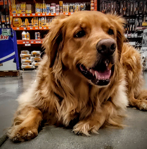 Home Improvement Store «The Home Depot», reviews and photos, 4195 24th Ave, Fort Gratiot Twp, MI 48059, USA