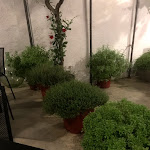 Photo n°6 de l'avis de Corrado.e fait le 27/07/2019 à 23:19 sur le  Stile Primitivo à Campomarino