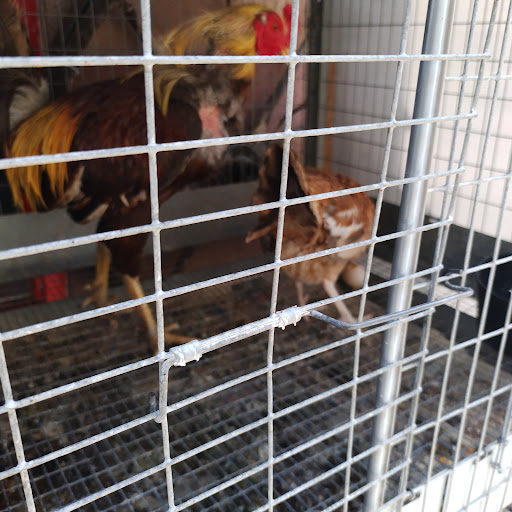 Animal Feed Store «Whittier Feed Store», reviews and photos, 12618 Penn St, Whittier, CA 90602, USA