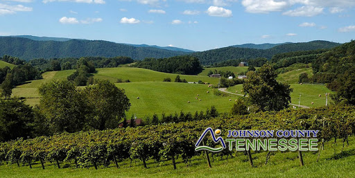 Non-Profit Organization «Better Business Bureau (BBB of Greater E TN)», reviews and photos